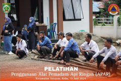 Picsart_24-06-19_14-28-49-892